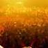Insolation Ferry Corsten Remix System F