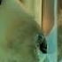 Vance Joy Mess Is Mine Official Video