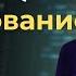 Java с нуля Наследование Уроки по программированию