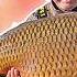 Fishing An AMAZING German Sand Pit Danny Fairbrass Christopher Paschmanns Thinking Tackle