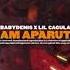 Babydenis X Lil Cagula Am Aparut Snippet