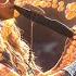 Full Recovery Whole Body Rejuvenation While Sleeping Body Healing And DNA Regeneration