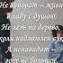 Когда тебя не слышат не кричи Вера Рыжих