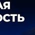 Истинная Реальность Александр Палиенко