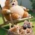 Cat Vs Mouse The Orange Cat Also Has Such A Day Cat Story Cute Funnycat