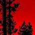 Skinwalker Hunt Full Game Playthrough No Commentary