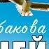 Даша Щербакова Птицей Lyrics шоу Кати Адушкиной