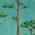 Real World The Carbon Cycle Essential For Life On Earth