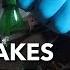 How To Bleed Your Brakes By Yourself