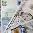 Its Cat Bagira And Money
