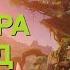 Кирара Гайд Билд и Отряды Кирары Genshin Impact