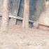 Fulete Jaman Chanda Thake Shortfilm Lovesong Youtub Viral
