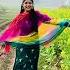 Youtubeshorts Colourful Flowers Sarson Ki Kheti Sarson Me Video Panjabisuits Suitdesign Jutti
