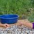 Orphan Boy Went Fishing In The Stream And Caught Many Fish To Bring Home With The Old Lady To Dry