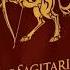 Sagittarius Adventure Awaits This Week November 22 To December 21 Zodiac Star Sign Secrets