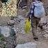Shorts Pure Nature Vibes Green Hills Running Water And Rural Life
