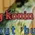 Pancingan Agar Konin Ikut Bunyi Gacor Pancingan Konin Trotol Gacor