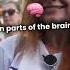 Can Mozart S Sonata Treat Epilepsy Secrets