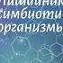 Биология 7 кл Пасечник 8 Лишайники комплексные симбиотические организмы