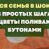 Вся семья в шоке 3 простых шага и цветы поливать бутонами цветы сад