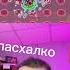пасхалко 1488 пасхалко
