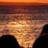 Schwarz Funk Seawind