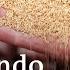 Comida Para Todos El Futuro De La Alimentación DW Documental