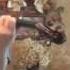 Titanic My Heart Will Go On Violin Cover