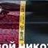 Я твой никотин