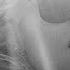 Betoko Gemma Hayes Wicked Game Original Mix