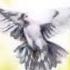 Take Me Higher Praise Worship CD