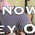 Snow Hey Oh Red Hot Chili Peppers Acoustic Cover