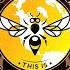 Backyard Beekeeping Q A Episode 311 When A Colony Attacks What Can You Do