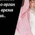 Если забыл омыть какой то орган при омовении Шейх Салих аль Фаузан омовение тахарат шейхфаузан