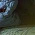 Experience Bee S Room In 360 ANNABELLE CREATION