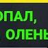 Третий девичник за месяц Что то не так Измена жены История и рассказ Аудио рассказ