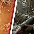 Ukrainian Troops Engage In HORRIFYING Close Combat With Russians As Bombs Land Within Metres
