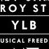 Sidney Samson Leroy Styles YLB Original Mix