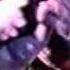 Jimmy Barnes Live Broken Hearts 1989