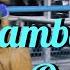 Rio Sambadrome Queen Exhuberant Rio Carnival Celebrity