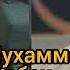 Мухаммад Хоблос узбек тилида