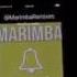 We Don T Talk Anymore MARIMBA Remix