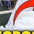 Is George Soros Dead Internet Demands Proof Of Life As Soros MISSING At Son S Wedding Clinton