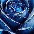 Joan Sebastian José José Maná Luis Miguel Marco Antonio Solís Ana Gabriel Diego Verdaguer