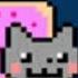 Nyan Catt