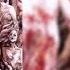 CANNIBAL CORPSE The Bleeding Full Album