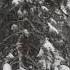 Minnesota Blizzard Video January 22 2018 At 4 Pm 8 To 15 Inches Of Snow Expected
