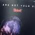 Slipknot We Are Not Your Kind Recensione
