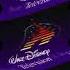 Walt Disney Television Buena Vista International 1995 Effects Inspired By DWTF Csupo Effects