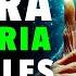 BABA VANGA PREDICE Para LIBRA 6 NÚMEROS DE LA SUERTE Para Ganar La Lotería 26 DE MAYO DE 2025